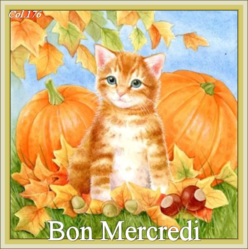 . . . . . . BONJOUR ET BONSOIR DE NOVEMBRE. . . . .  Vi6z