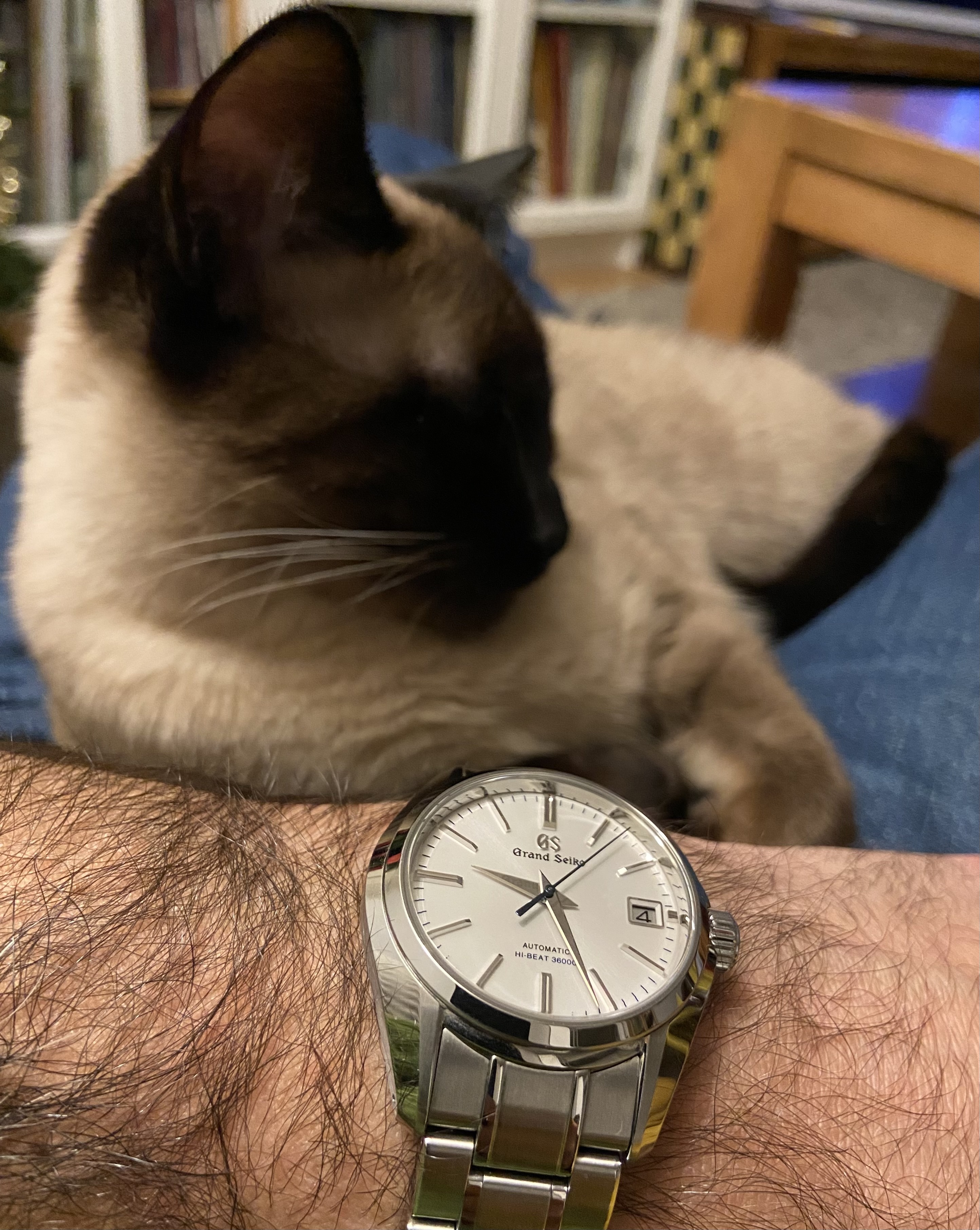 Le club des heureux propriétaires de Grand-Seiko Tome XVIII - Page 40 Skzp