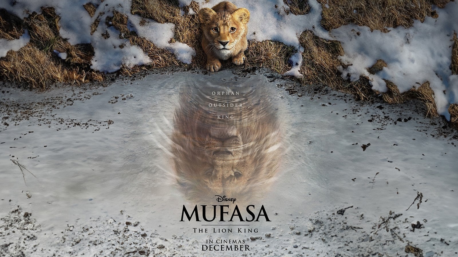 Mufasa : The Lion KIng Mufasa : The Lion KIng