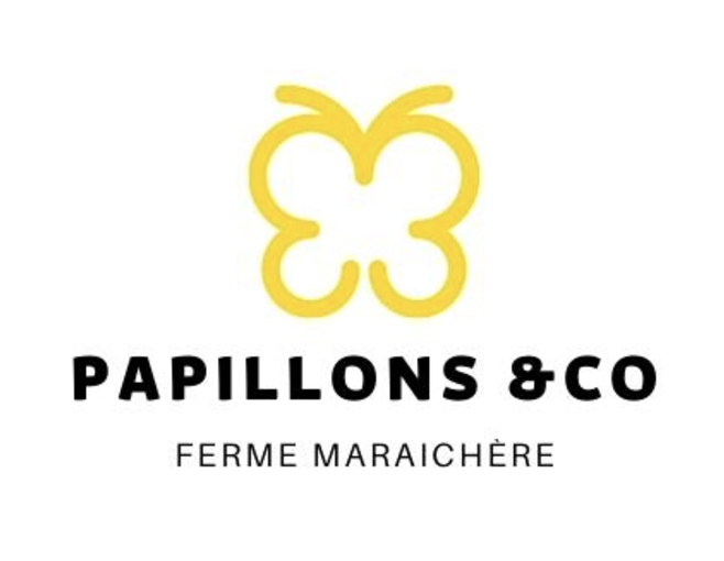 Logo papillon & co