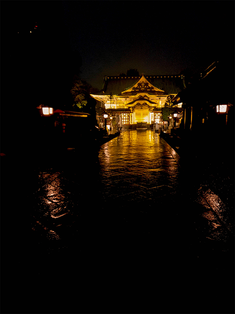 Ueno toshogu by night