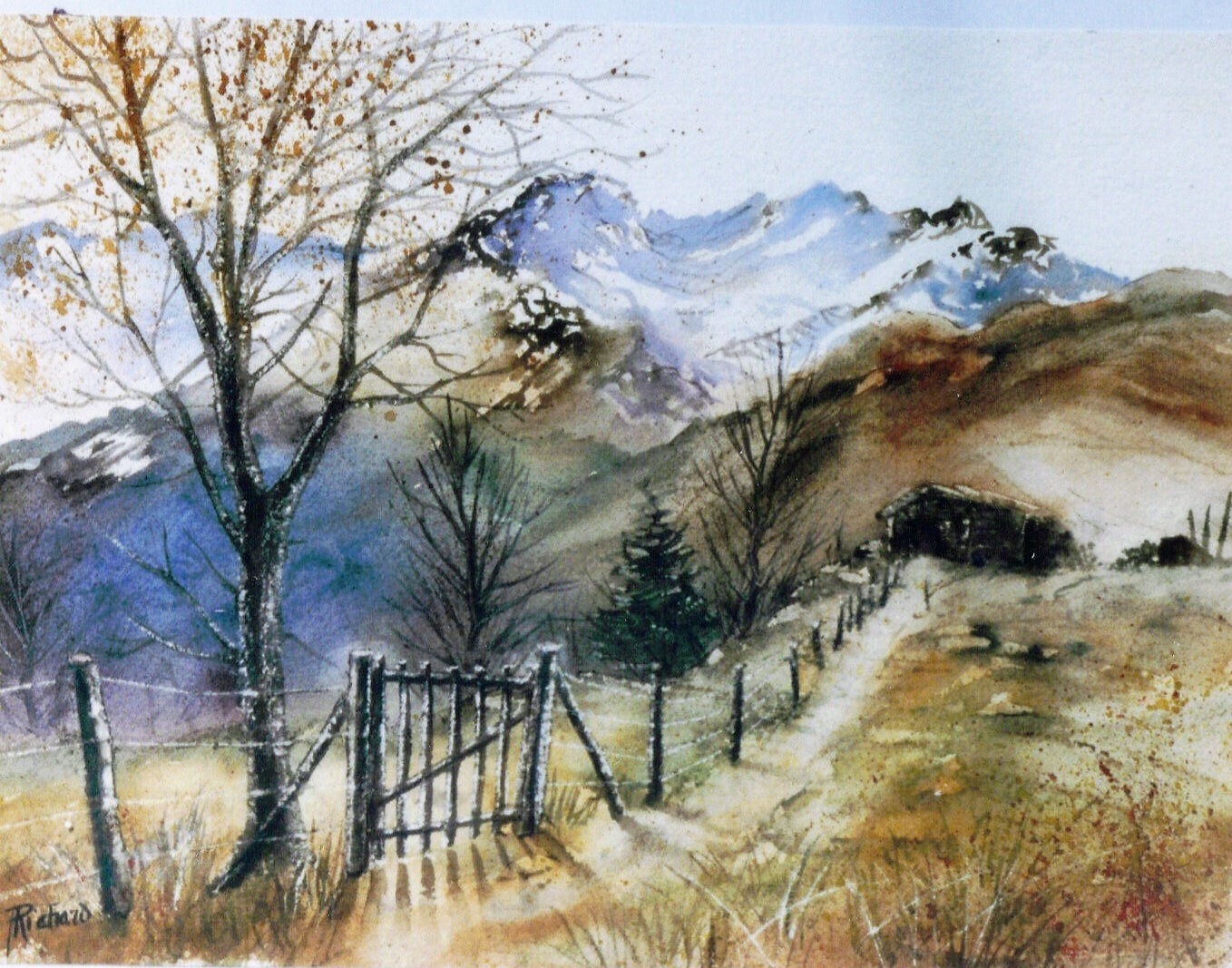 Image redimensionnée