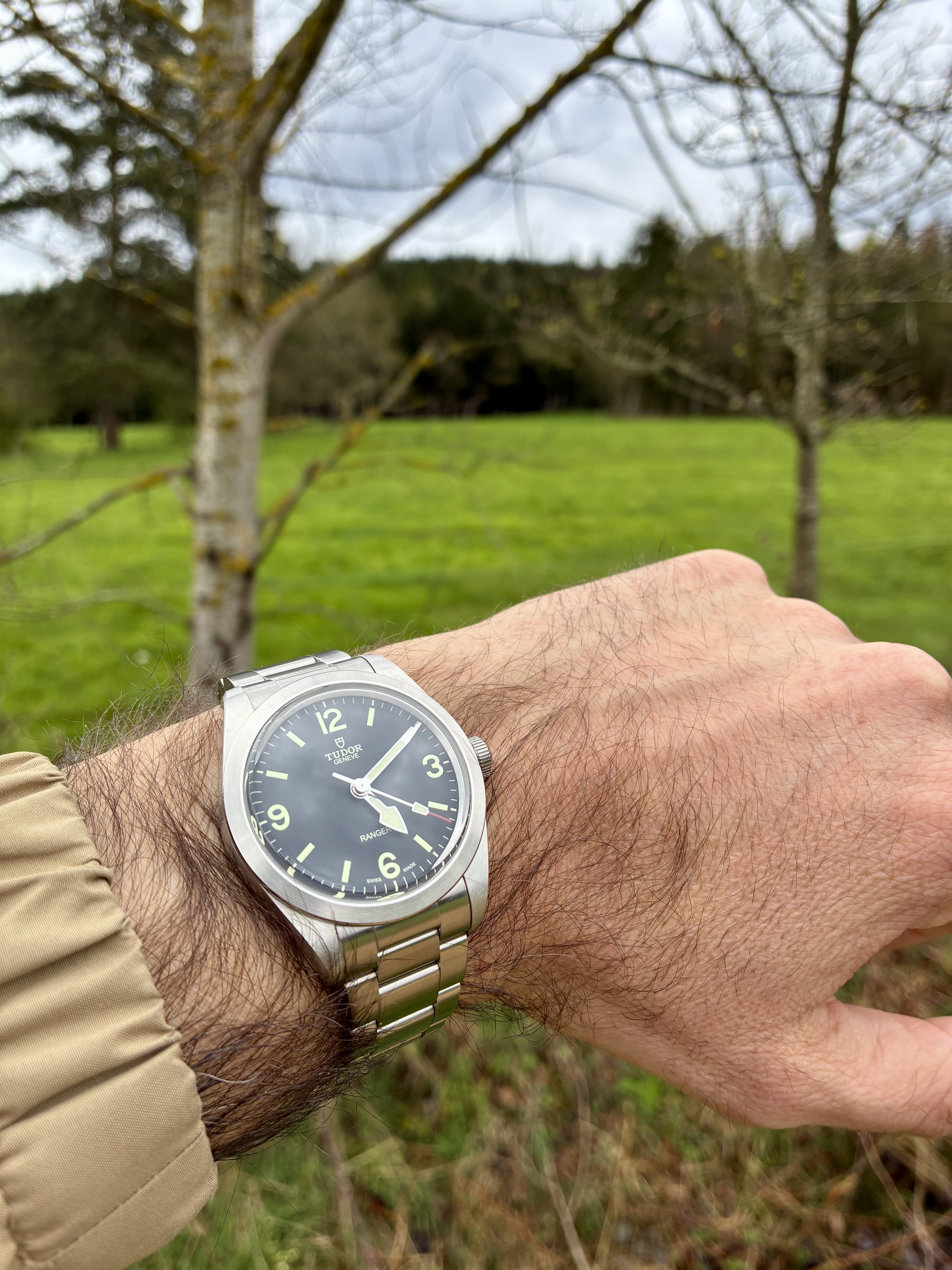 Tudor Ranger version 2022 : infos, questions et liens - Page 17 Pivj