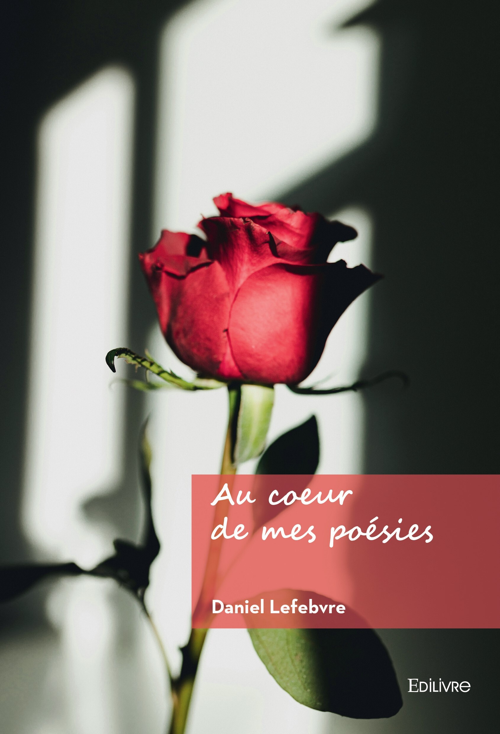 Image redimensionnée