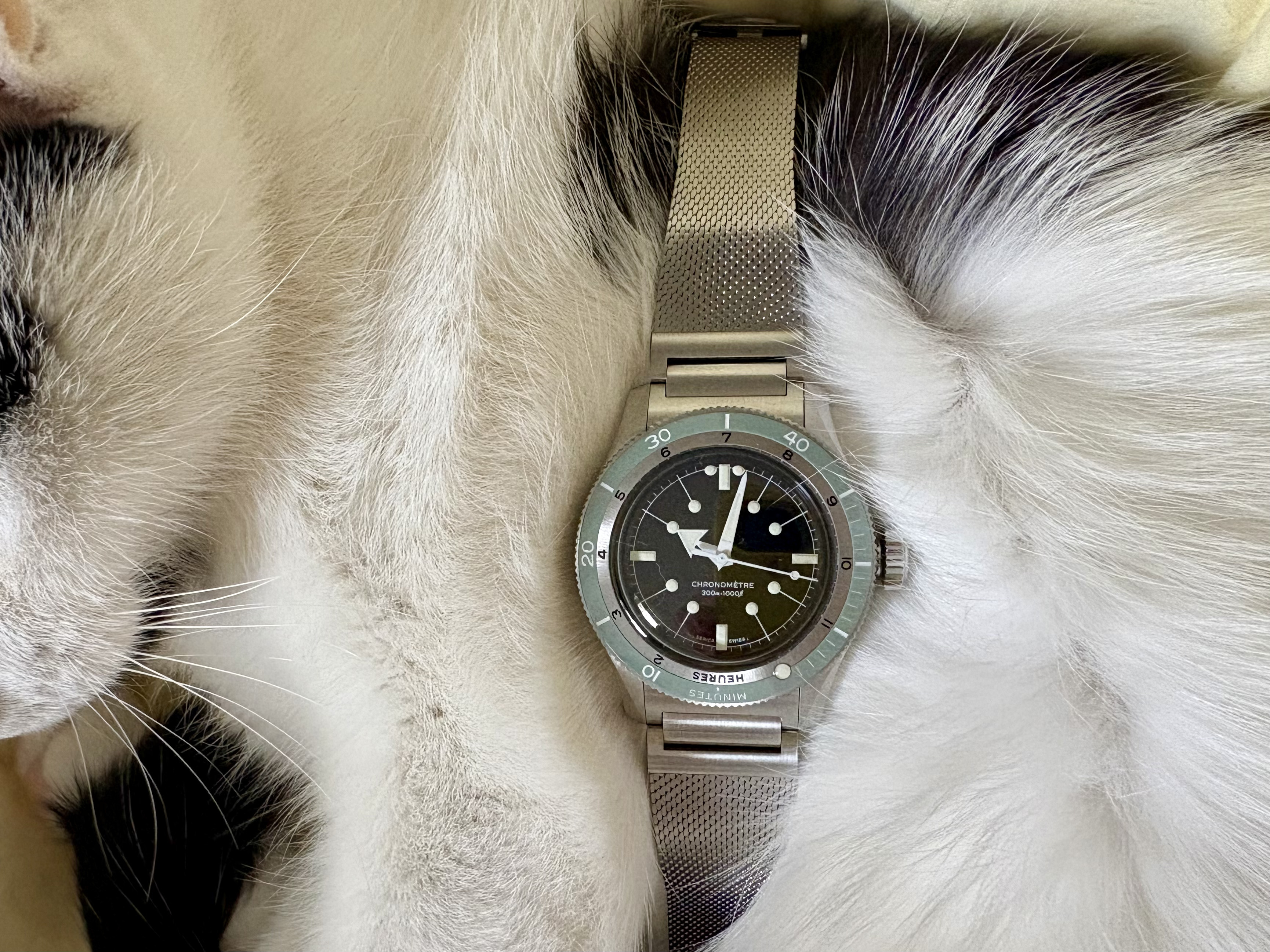Serica watches - tome II - Page 23 V59v