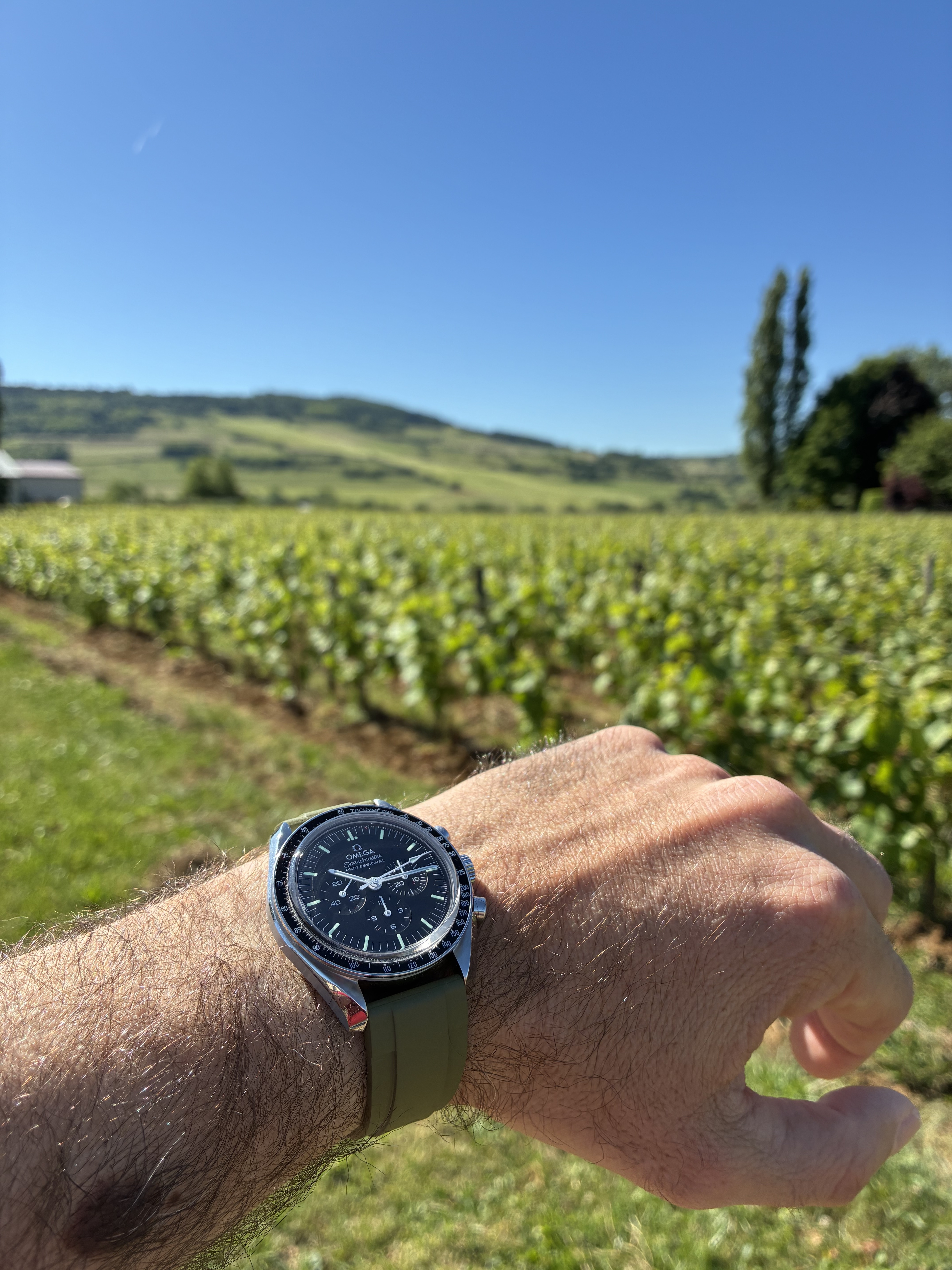 Le club des heureux propriétaires de bracelets ZEALANDE Lgqz