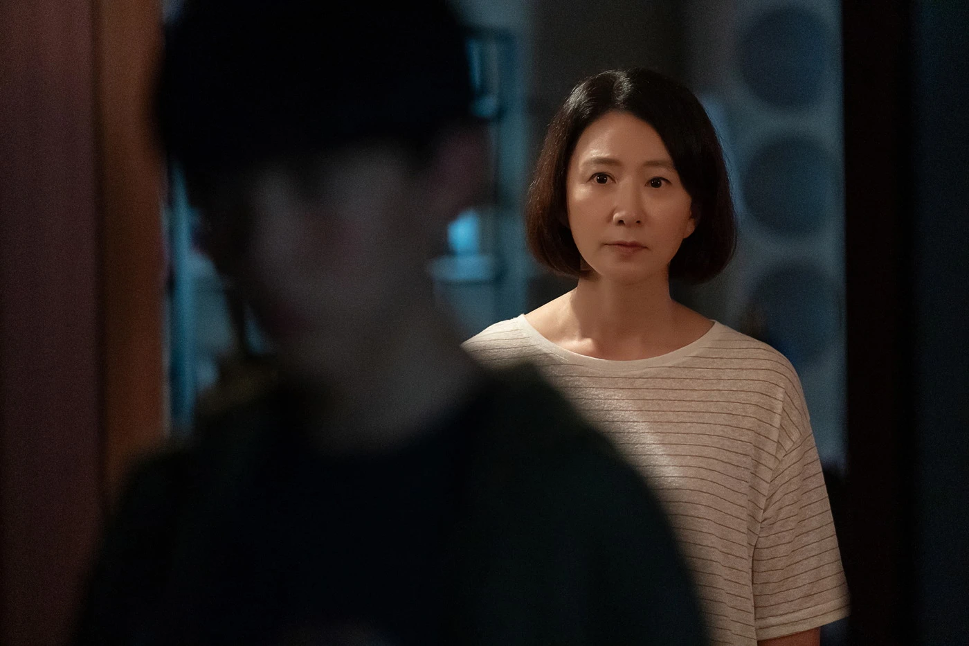 A Normal Family de Hur Jin-Ho A Normal Family de Hur Jin-Ho