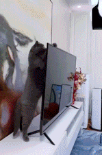 ex6f.gif
