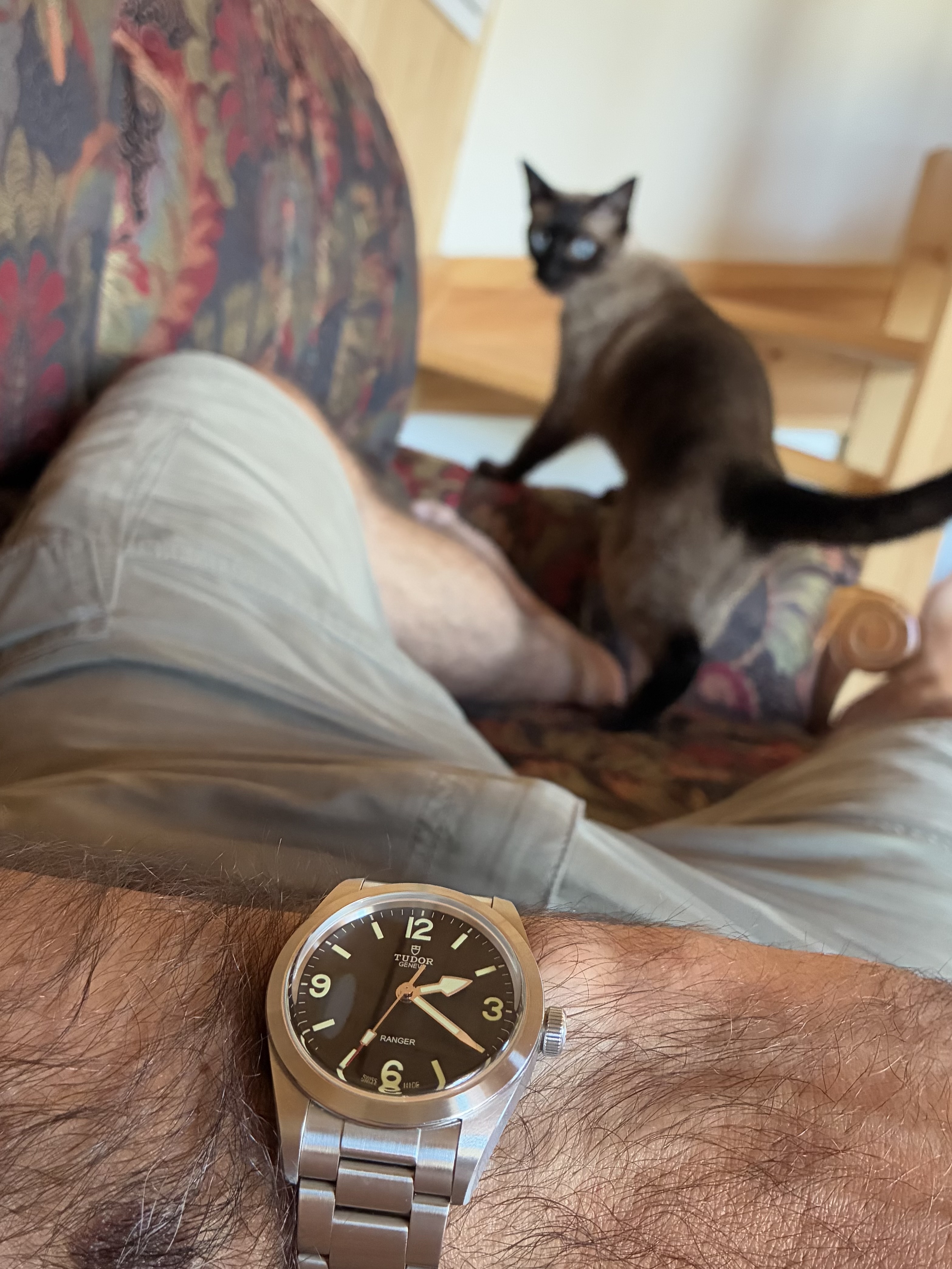 Tudor Ranger version 2022 : infos, questions et liens - Page 26 56k6