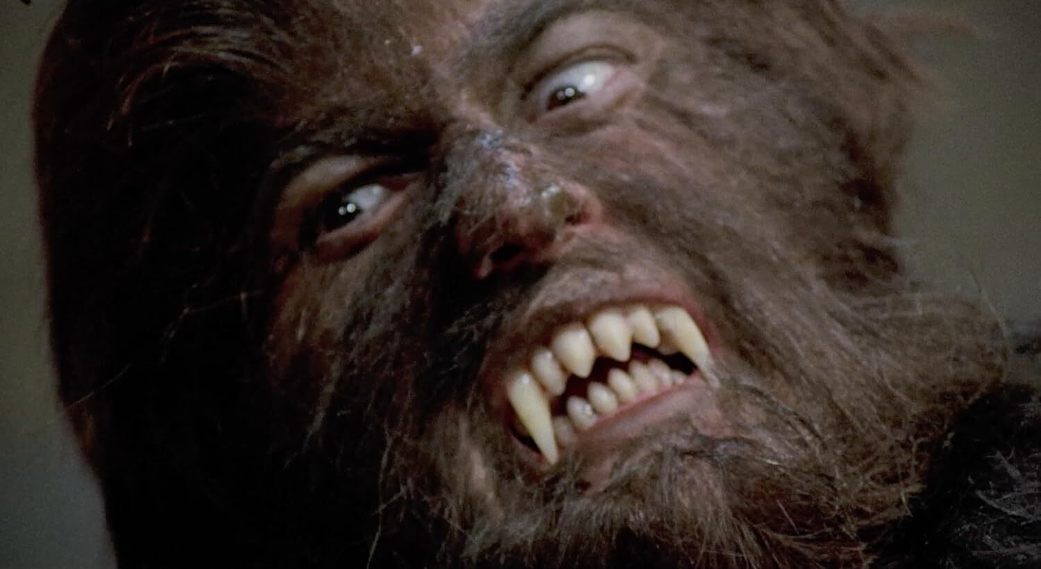 La Furie Des Vampires La Furie Des Vampires