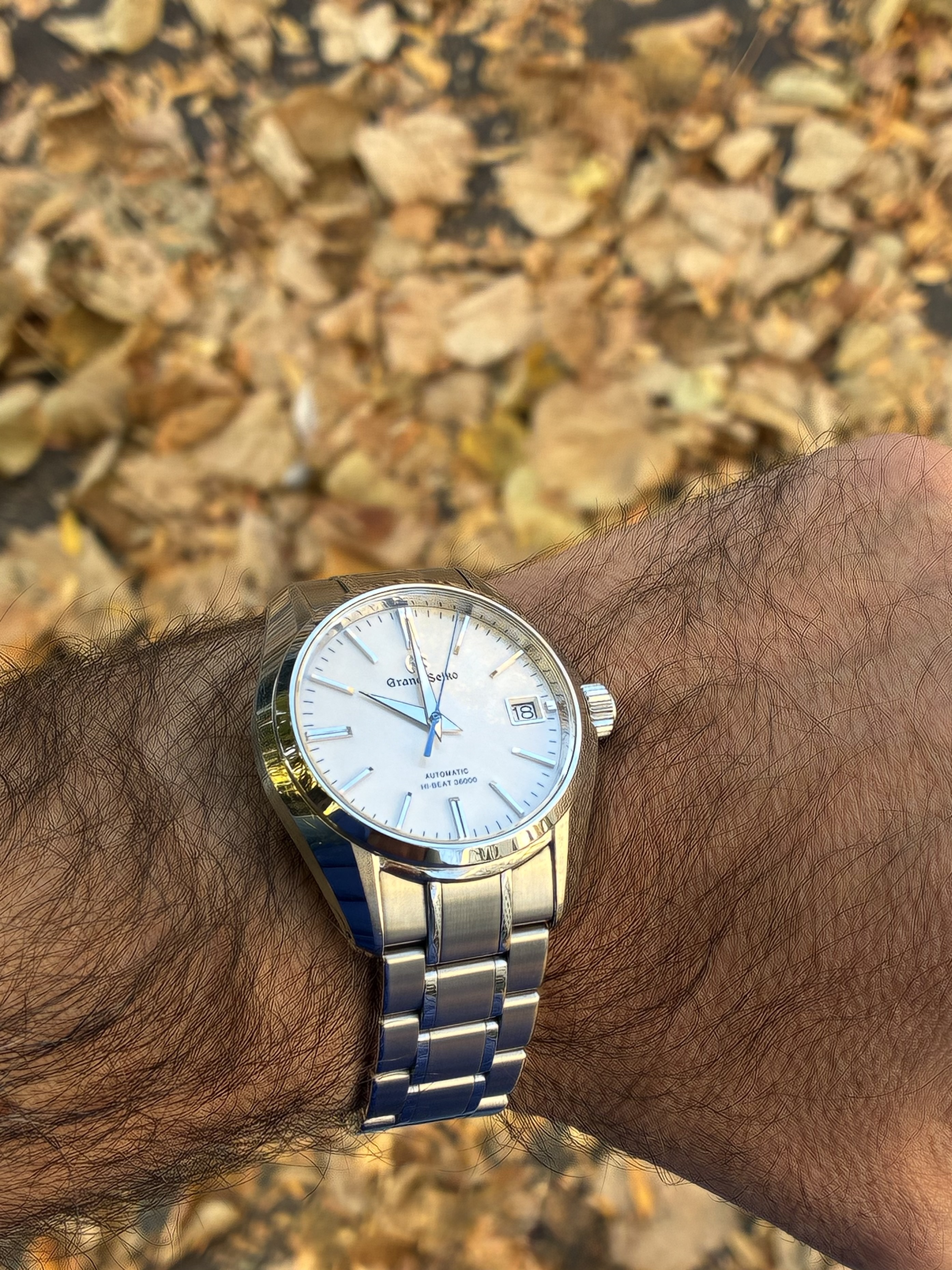 Le club des heureux propriétaires de Grand-Seiko Tome XVIII - Page 4 Wz6o