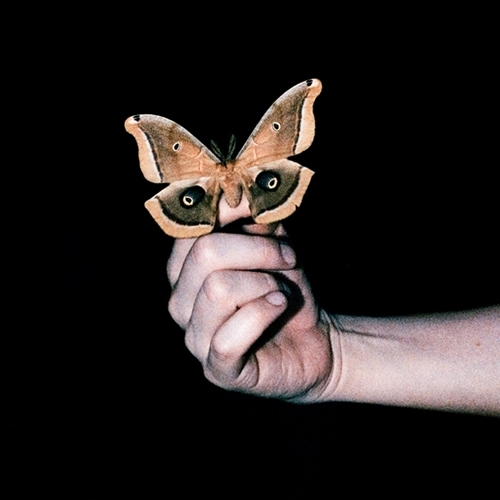 vrud.jpg