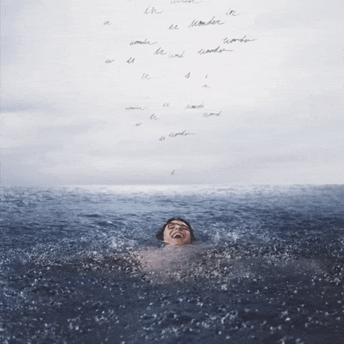 1dl5.gif