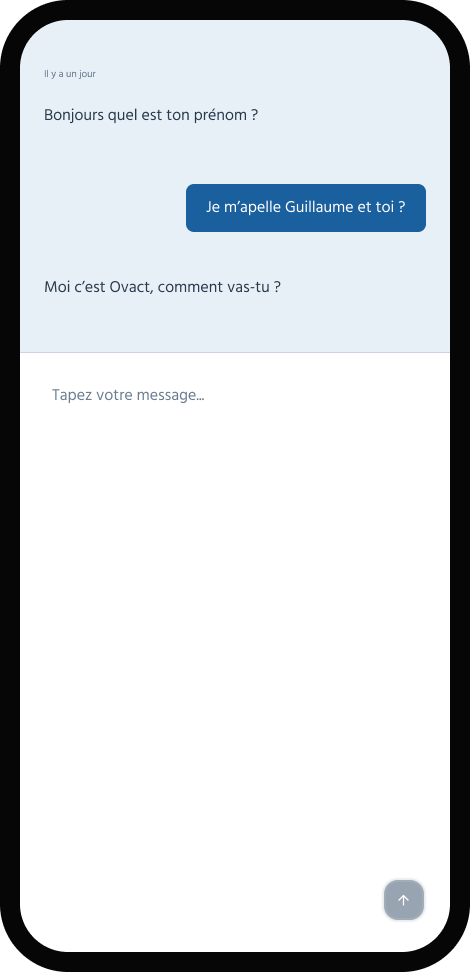 Wireframe chat expand clair