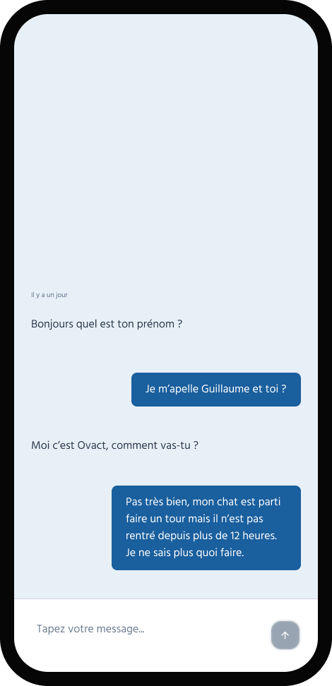 Wireframe chat clair