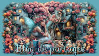 Blog de partage