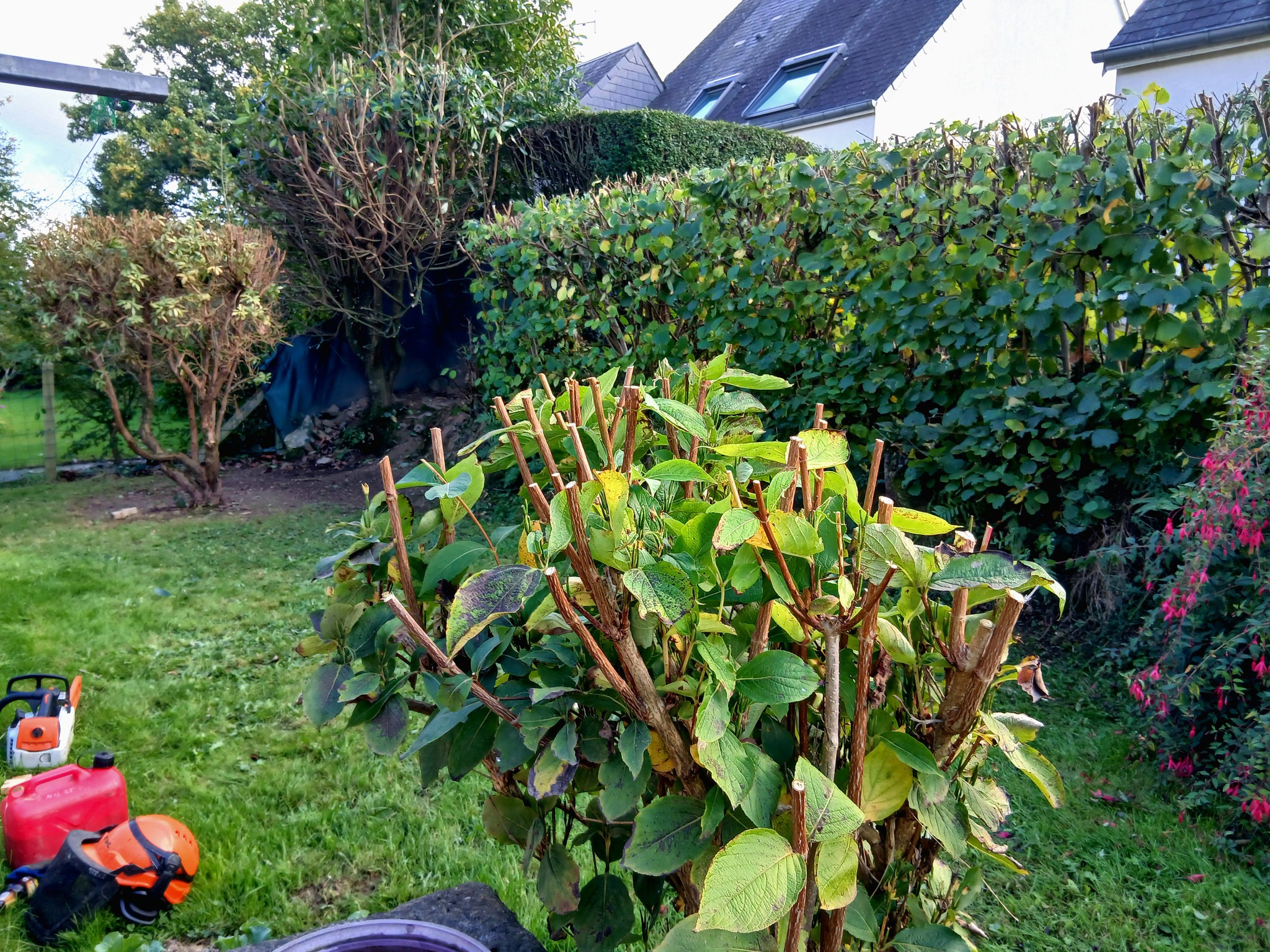 Présentation - Les Jardins du Val de Vire