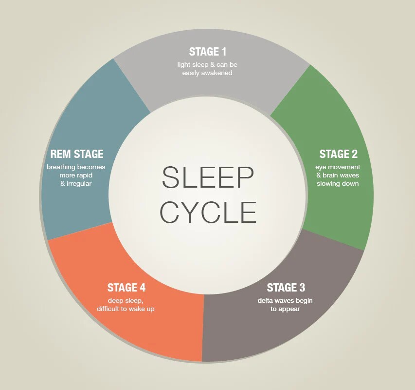 Sleep Cycles