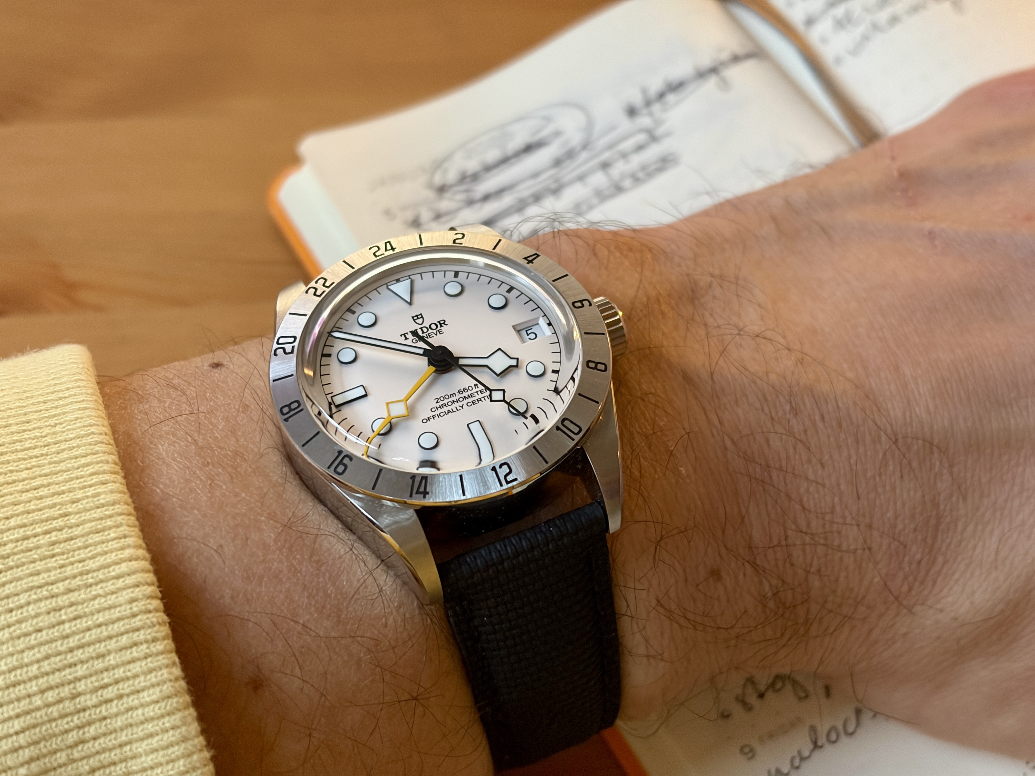 Tudor Black Bay Pro cadran blanc : infos, questions et liens - Page 8 Er2j