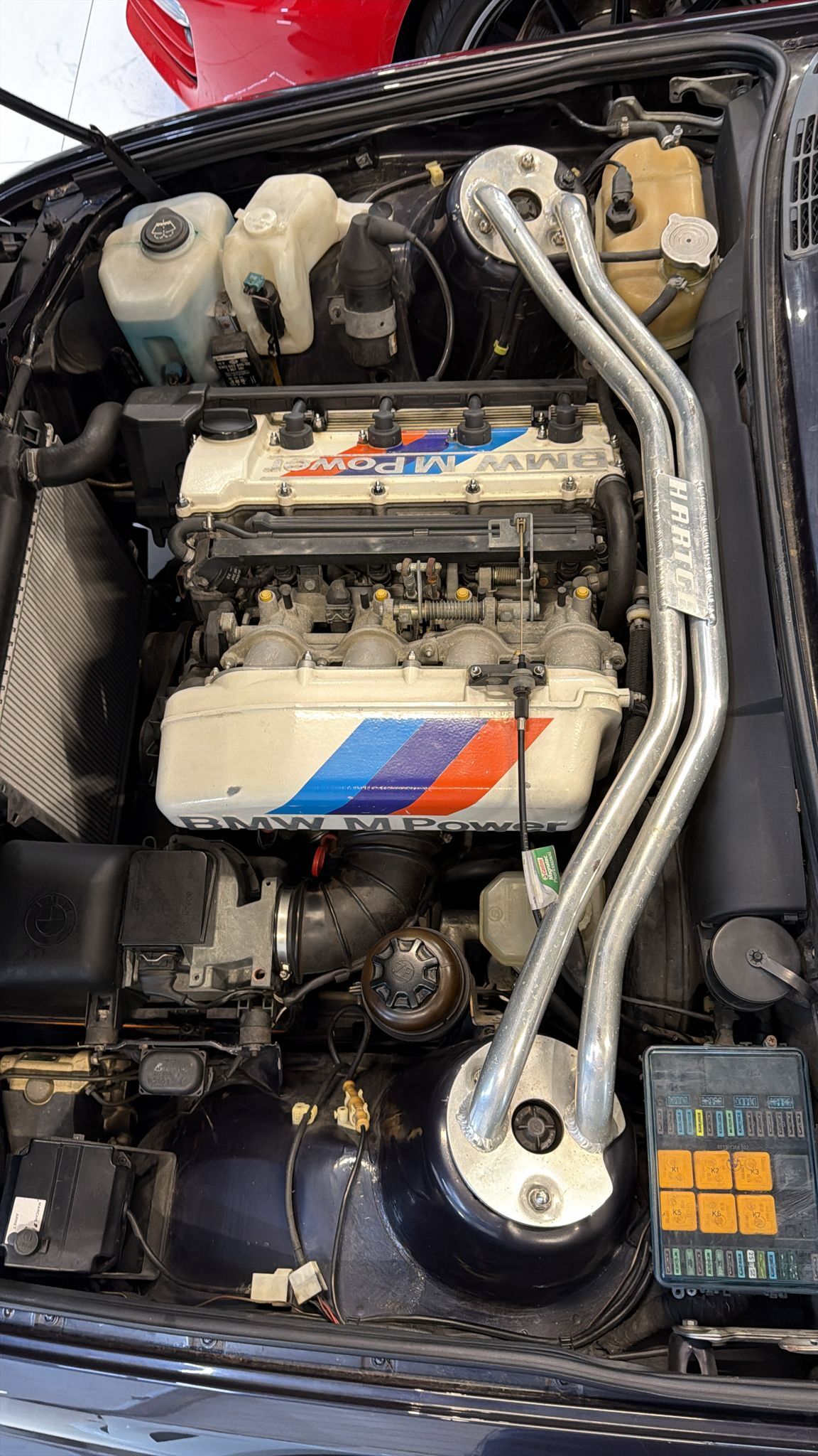 5db5.jpg