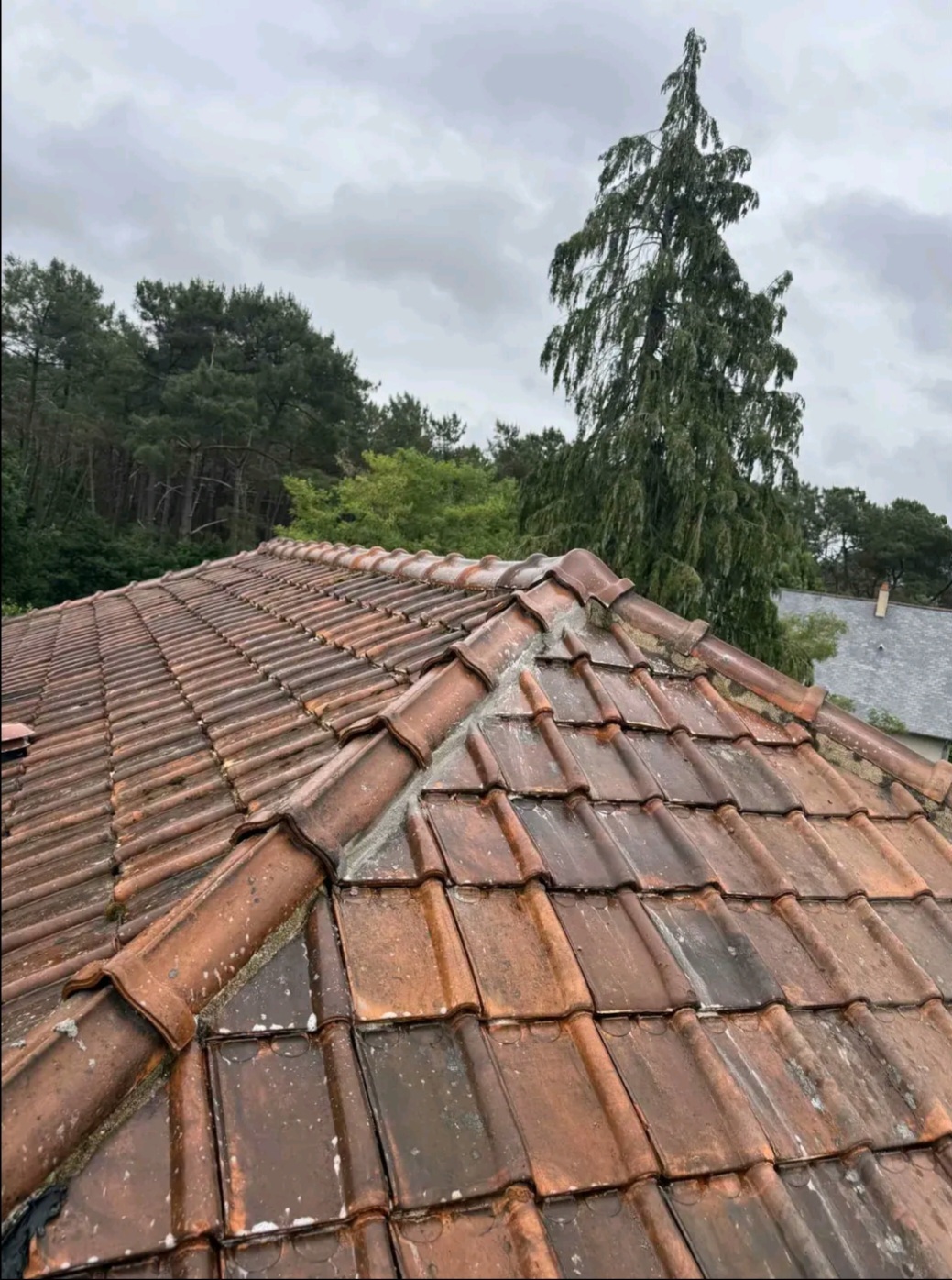 Réparation faîtage - Après