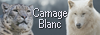 Carnage Blanc