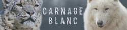 Carnage Blanc