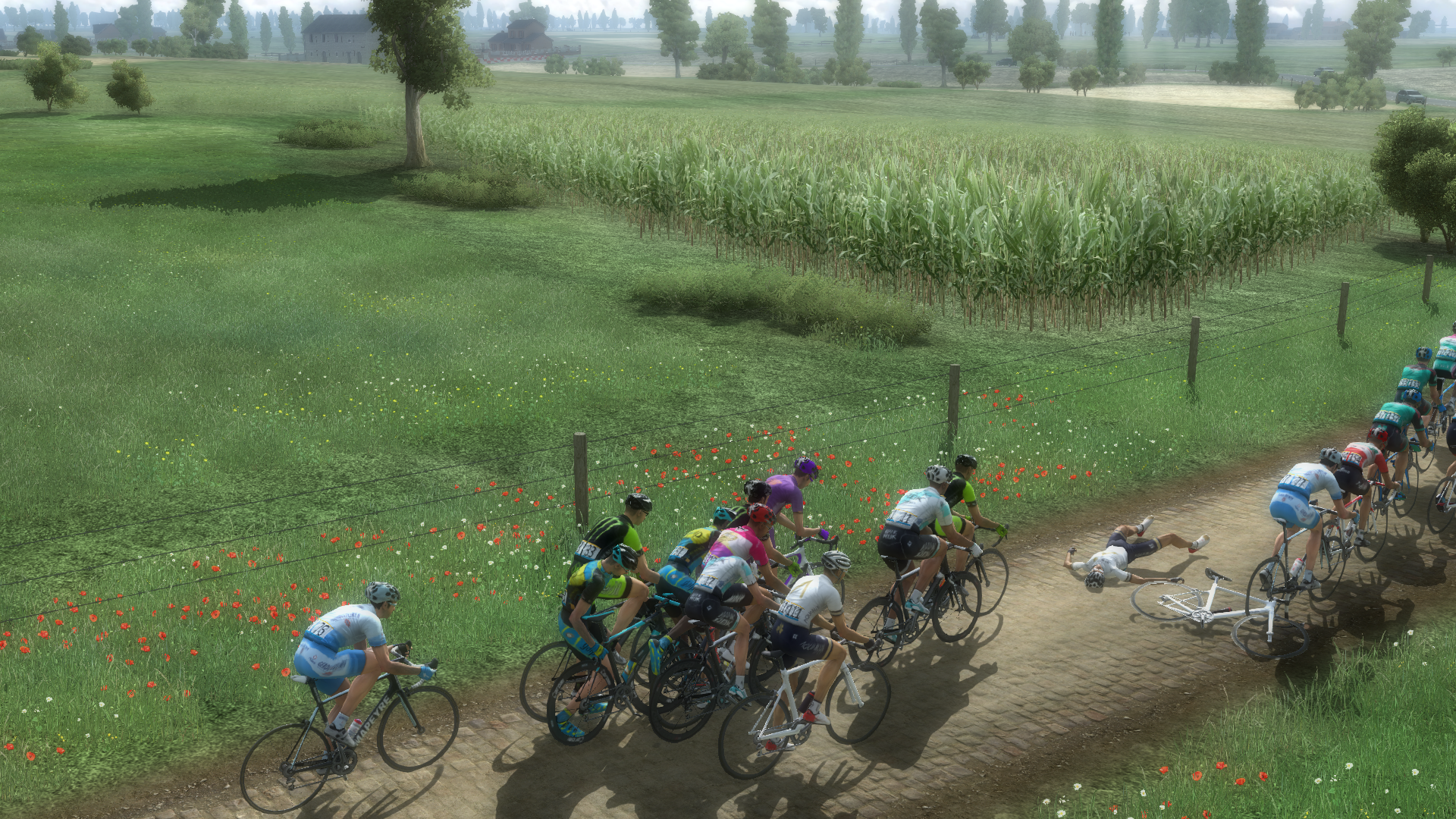 Cliquez pour agrandir