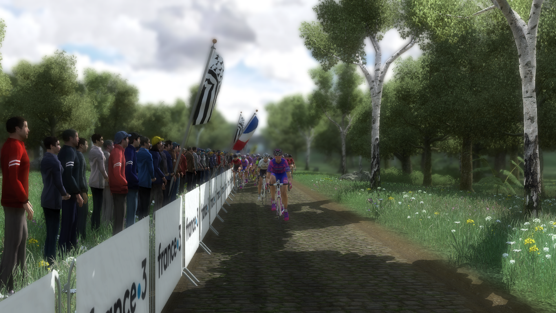 Cliquez pour agrandir