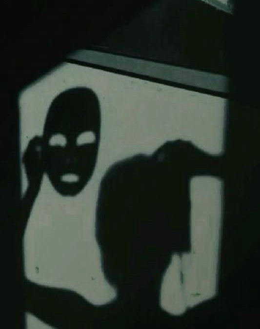 "Haut les Masques" Sally Väytkä, 2017 (Construction, Musée des Arts Photographiques de Tassel)