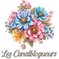les canalblogueurs