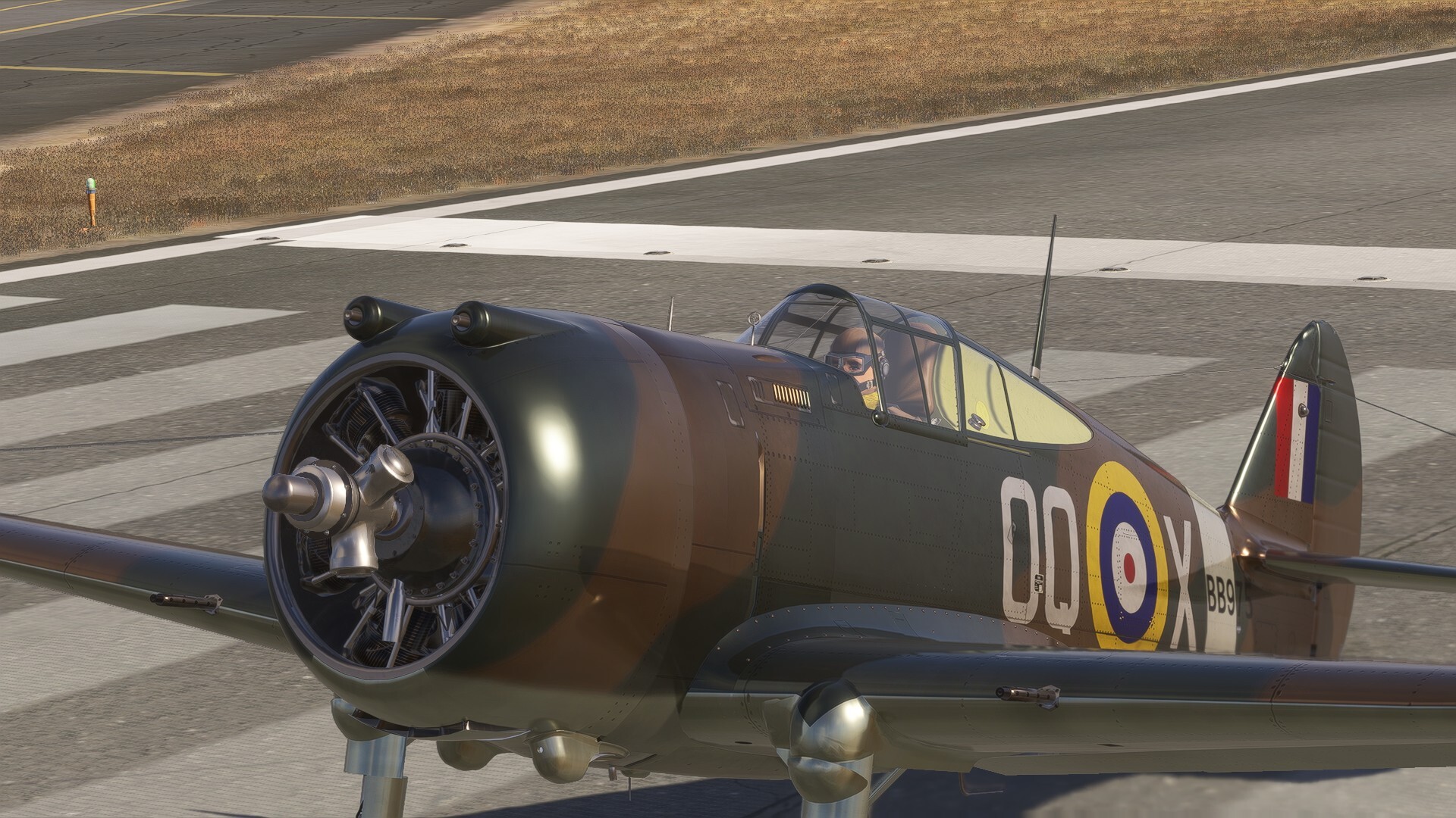 20r4.jpg