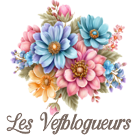 les vefblogueurs
