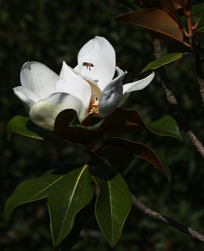 https://zupimages.net/up/26/13/vg22.jpg
