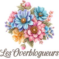les overblogueurs