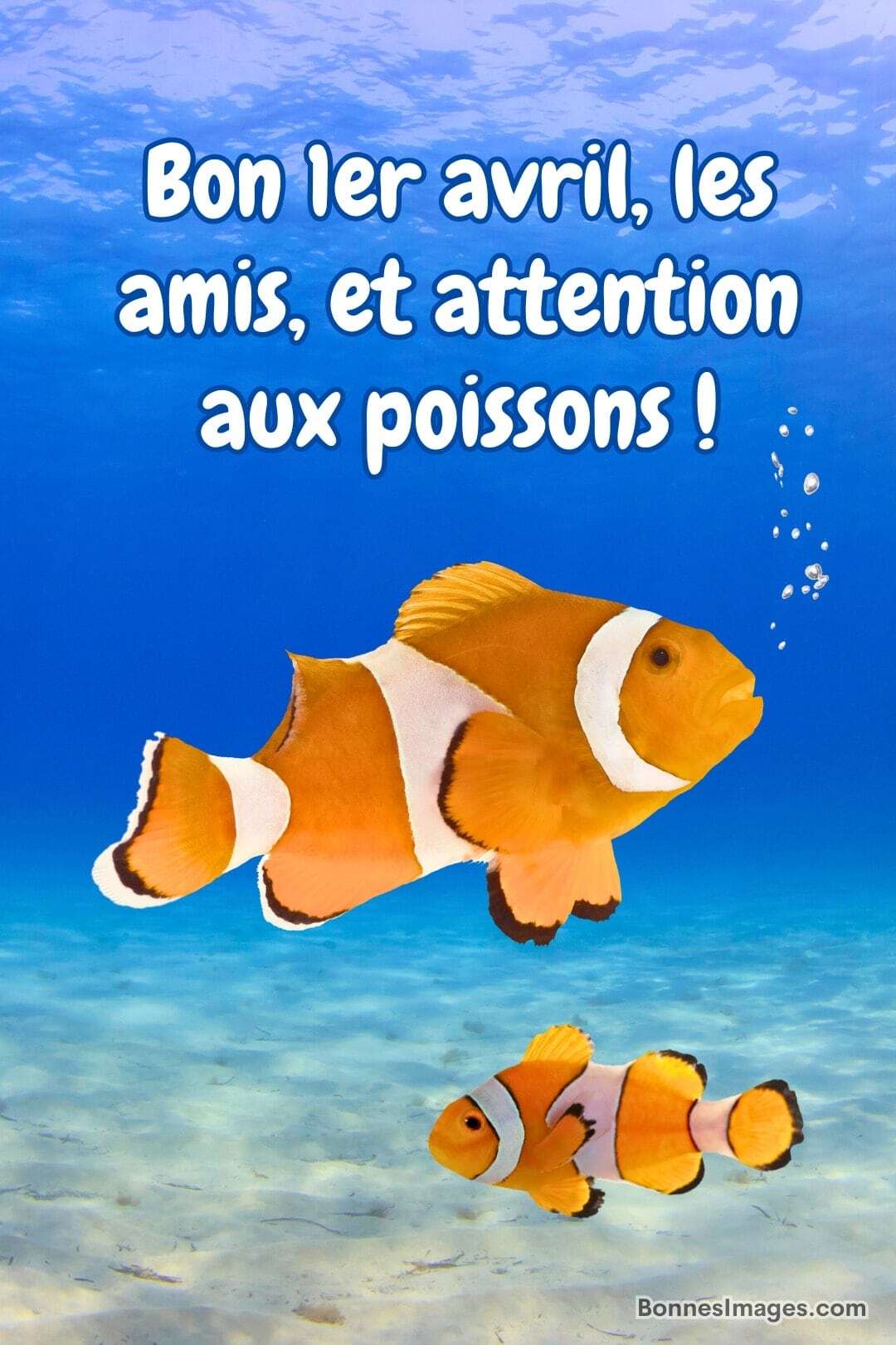 blvm.jpg