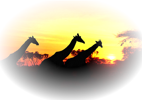 Lire le message Zqy8