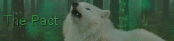 The Pact