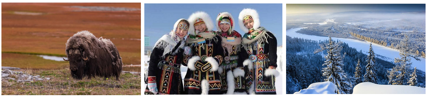 Illustration Illustration