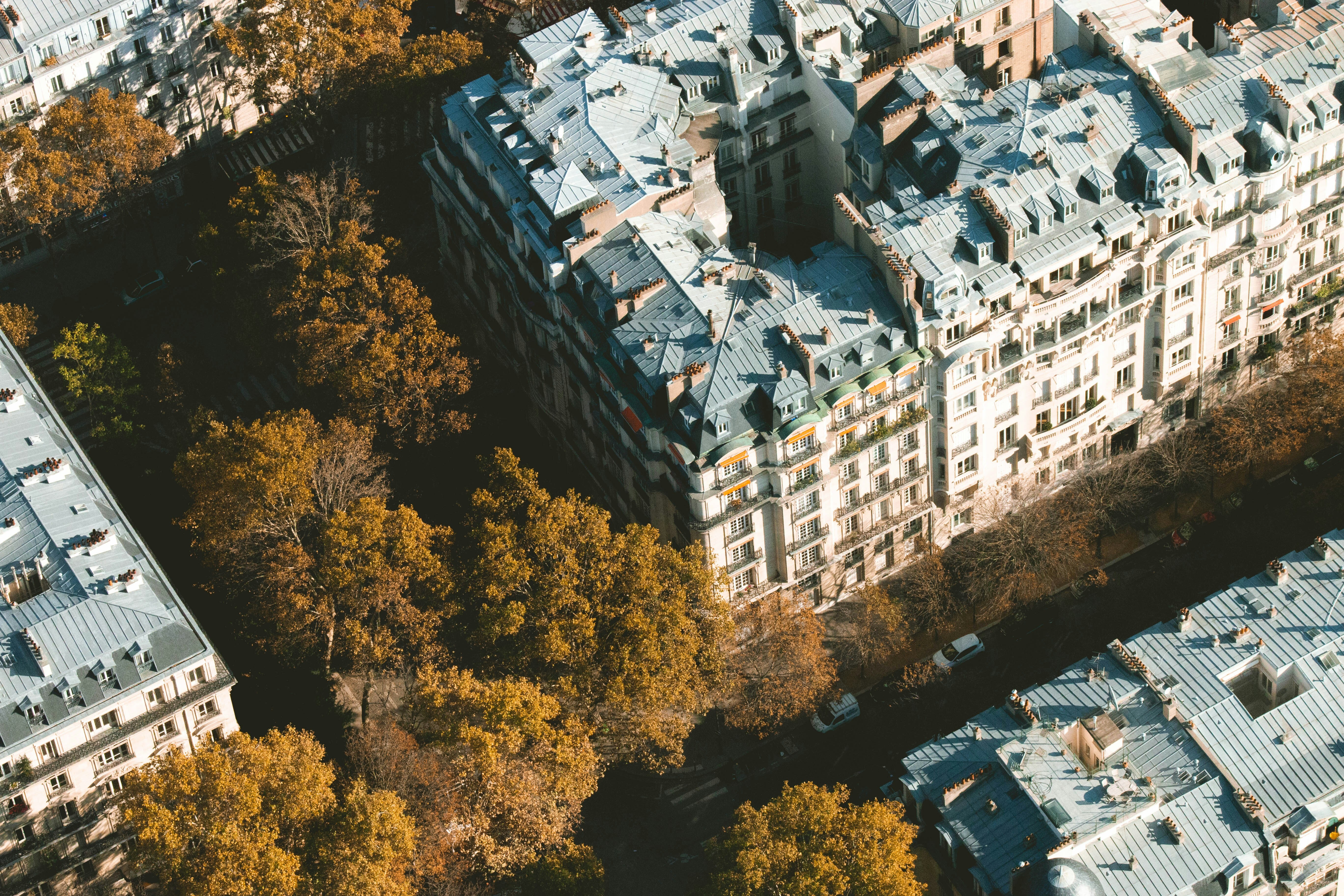 Aerial view of classic city buildings with grey rooftops beside tree-lined streets in autumn.