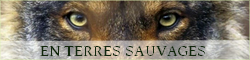 En Terres Sauvages