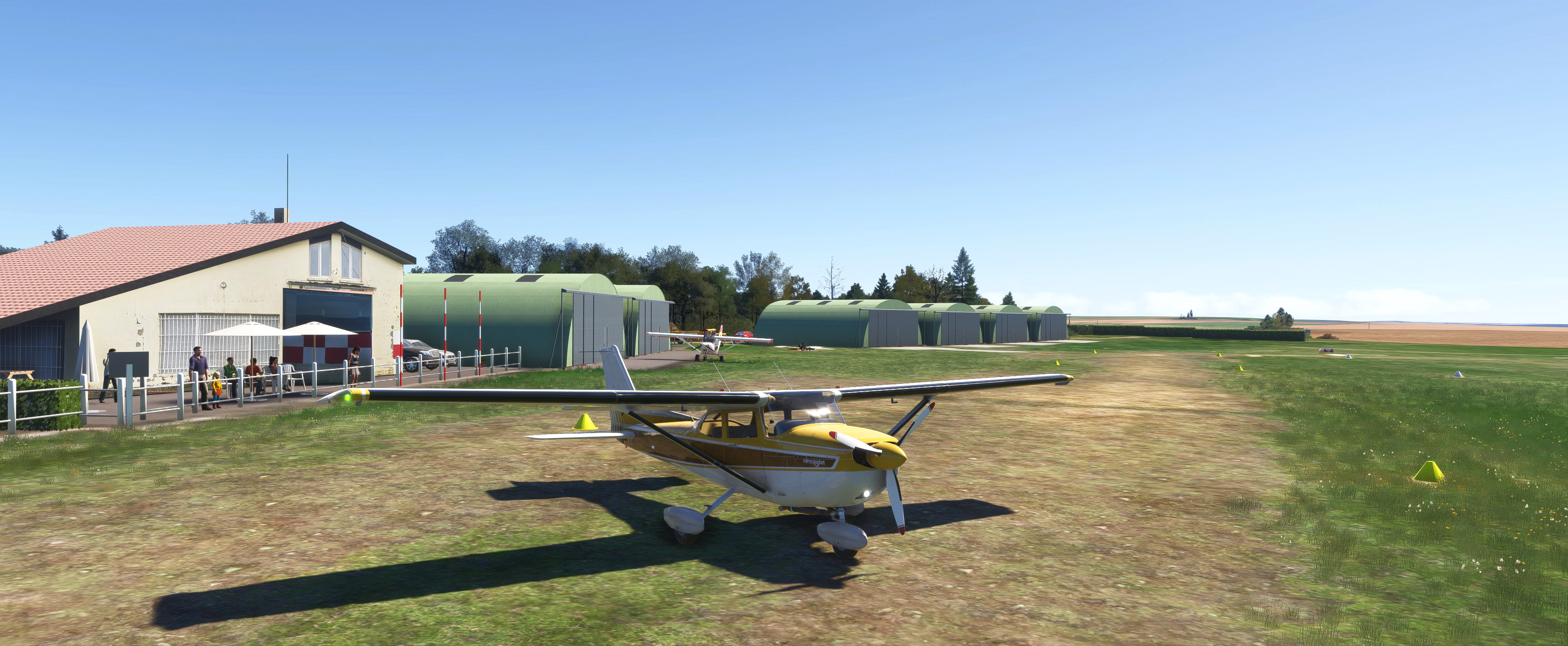 zm7t.jpg