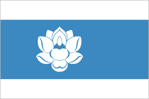 Drapeau national