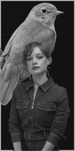 [Avatar]