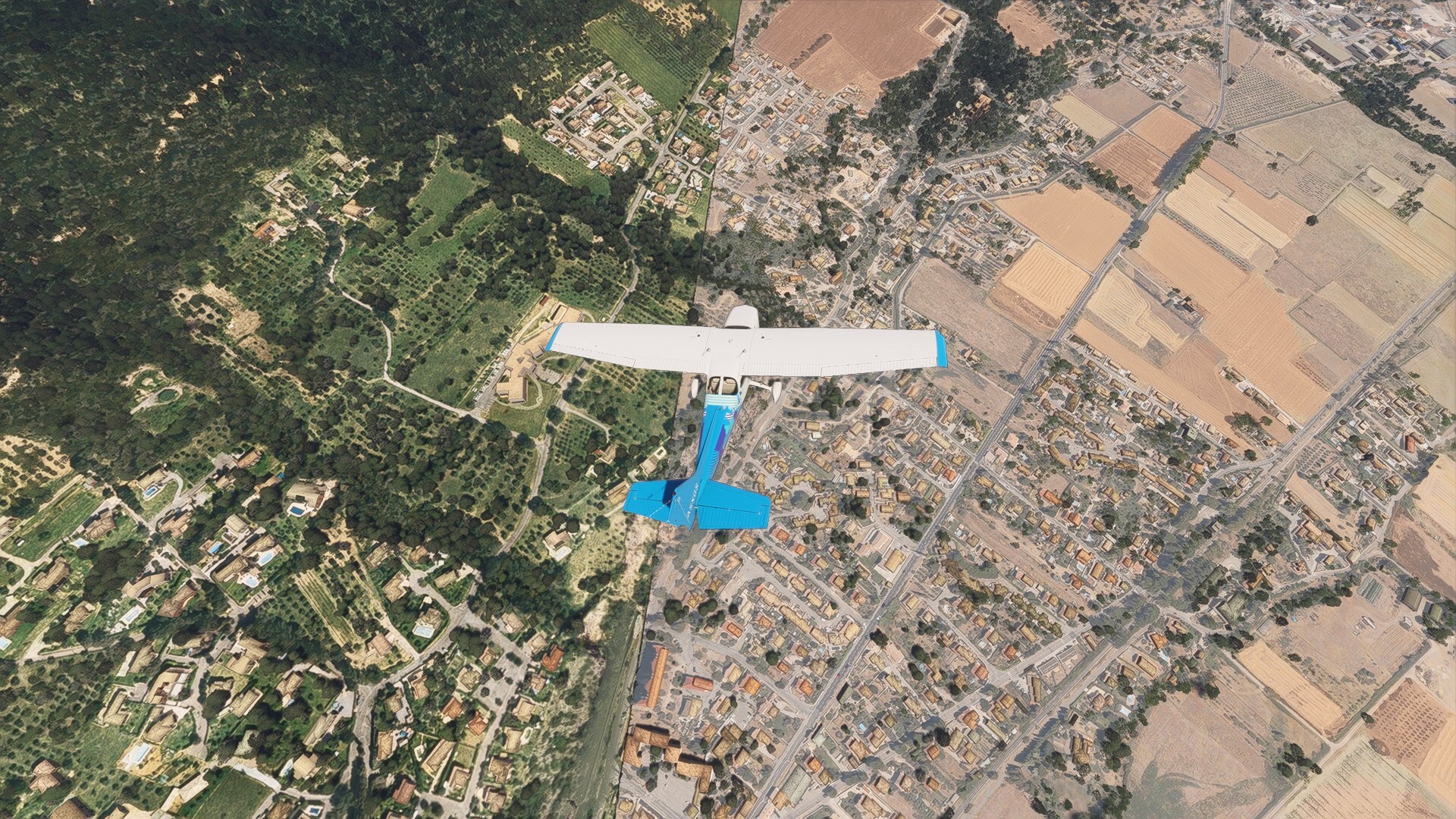 oz44.jpg