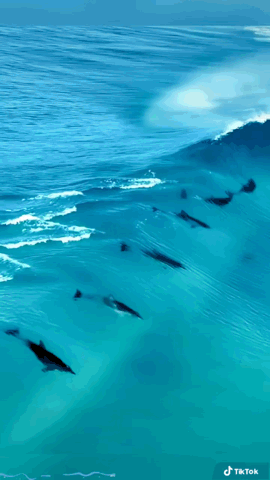 https://zupimages.net/up/26/24/yil6.gif