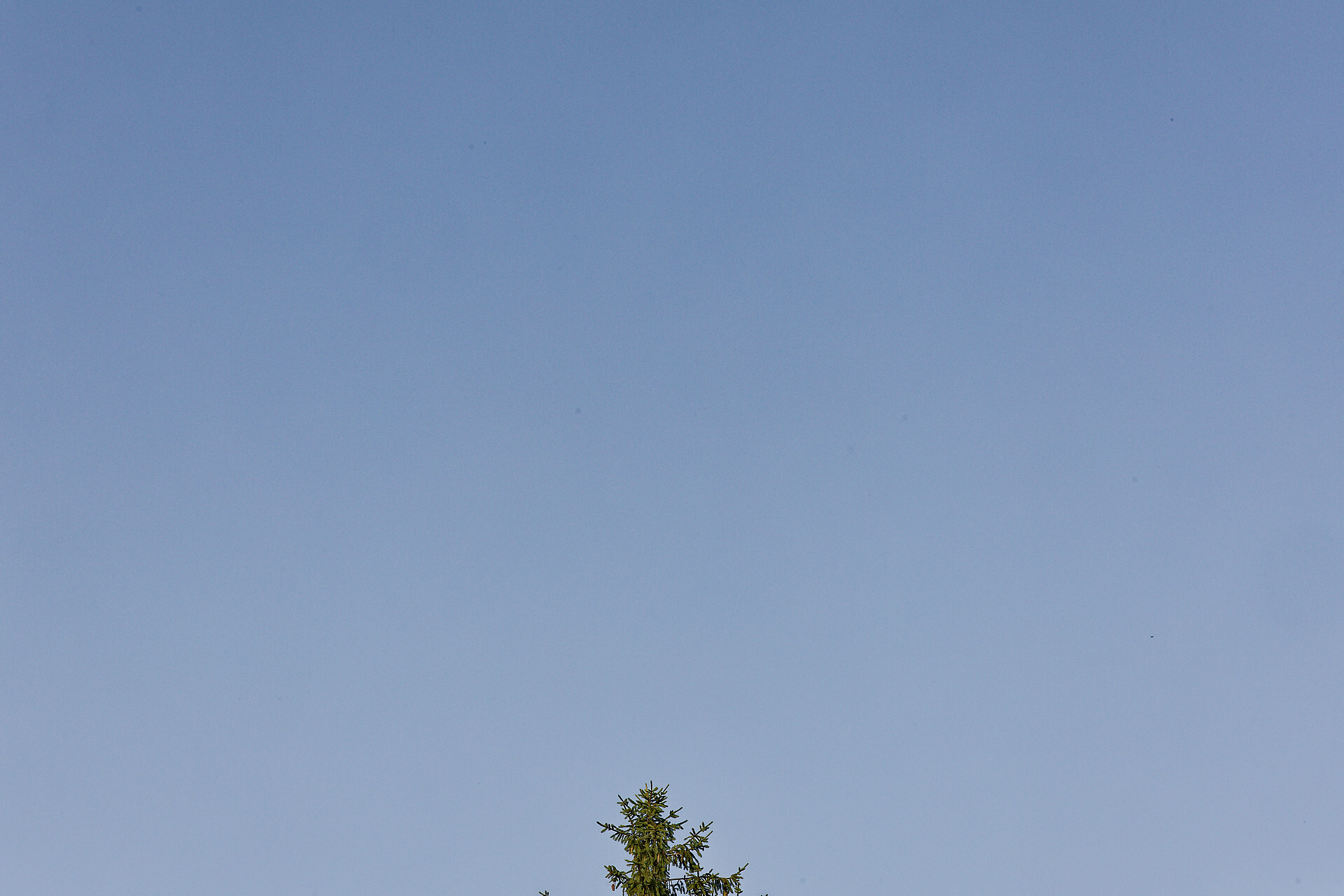https://zupimages.net/up/26/26/3gnc.jpg