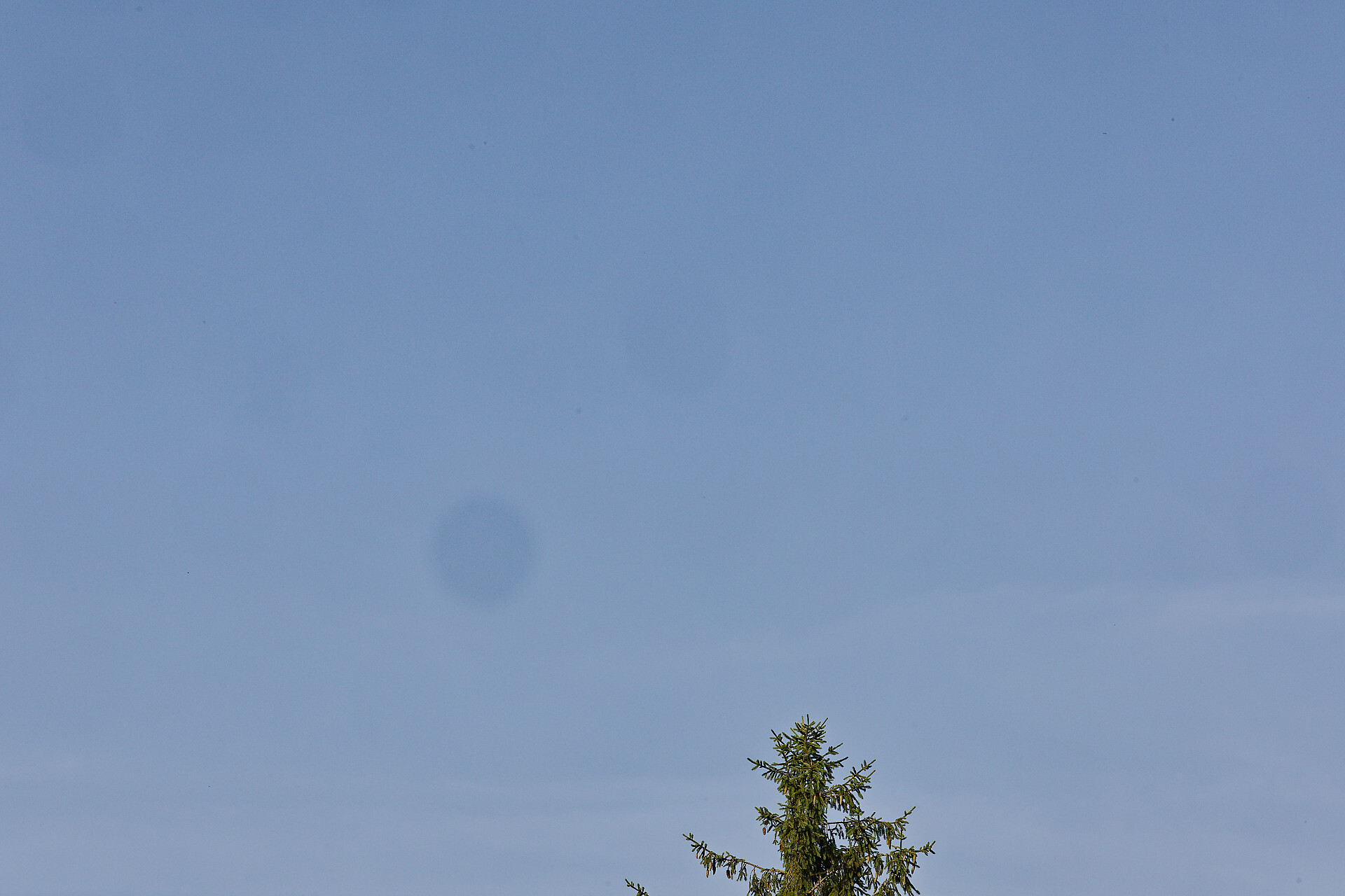 https://zupimages.net/up/26/26/d1g8.jpg