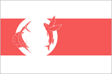 Drapeau national Drapeau national