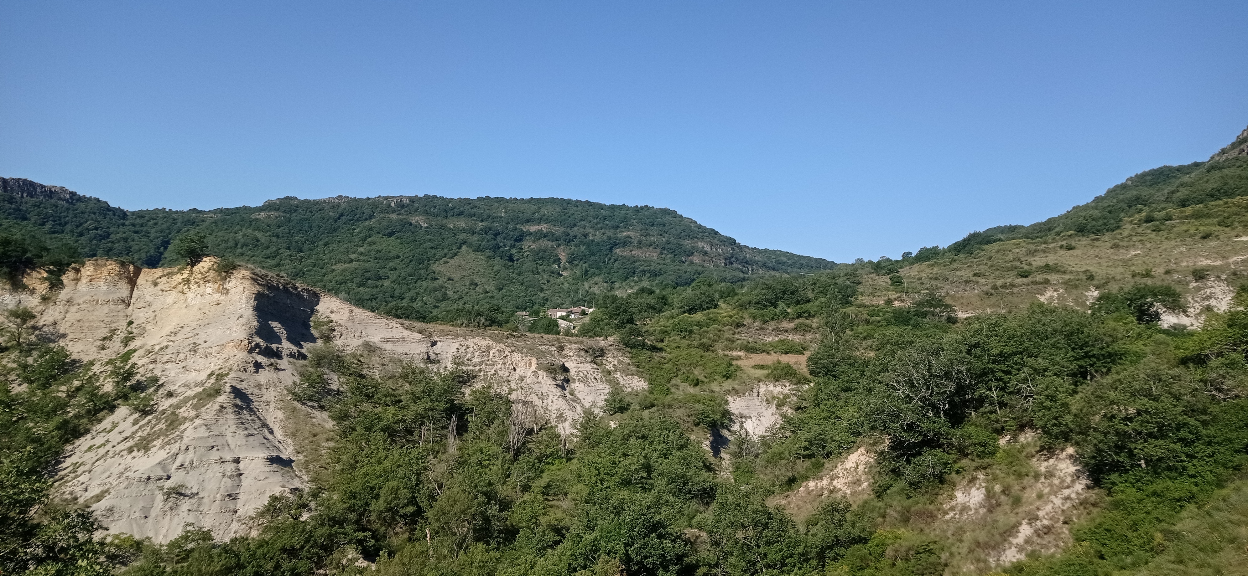 zh55.jpg